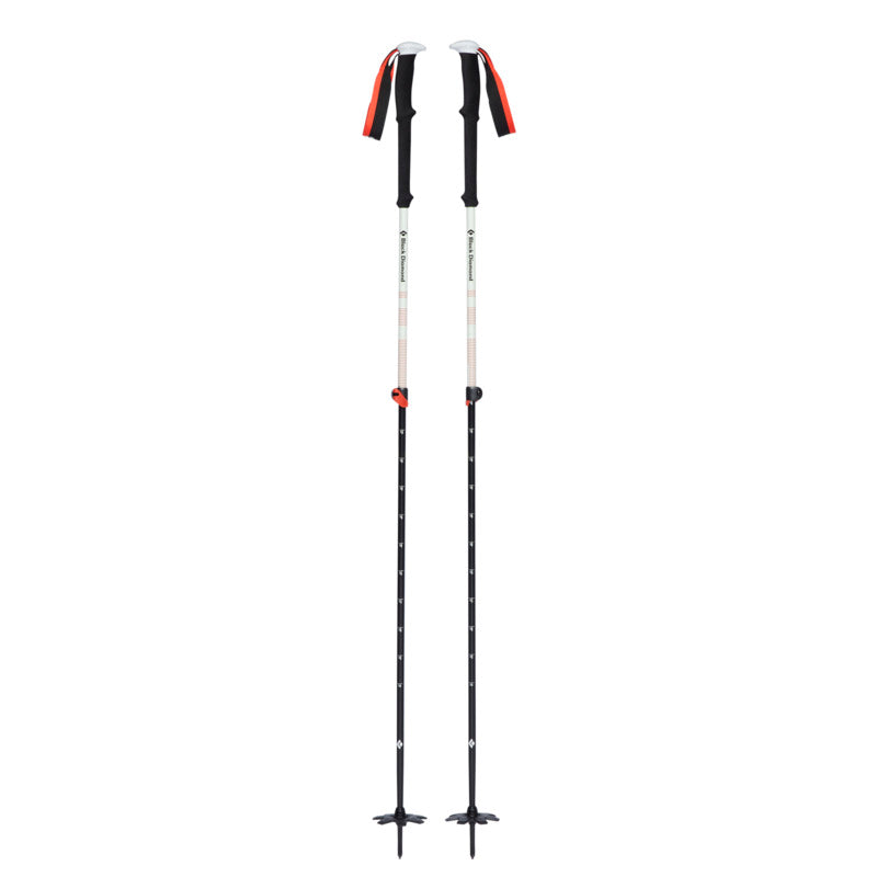 Expedition 2 Ski Poles