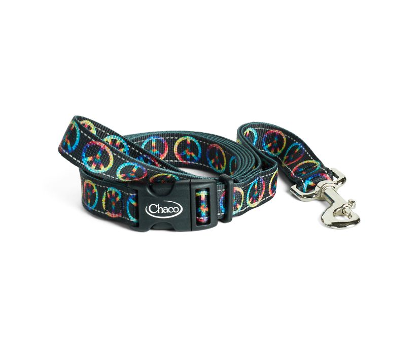 Chaco Dog Leash 2022 3