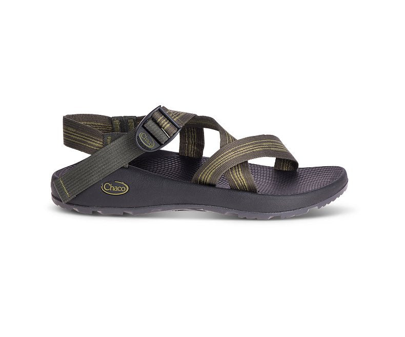 Chaco Z1 Classic Sandal - Men's 6