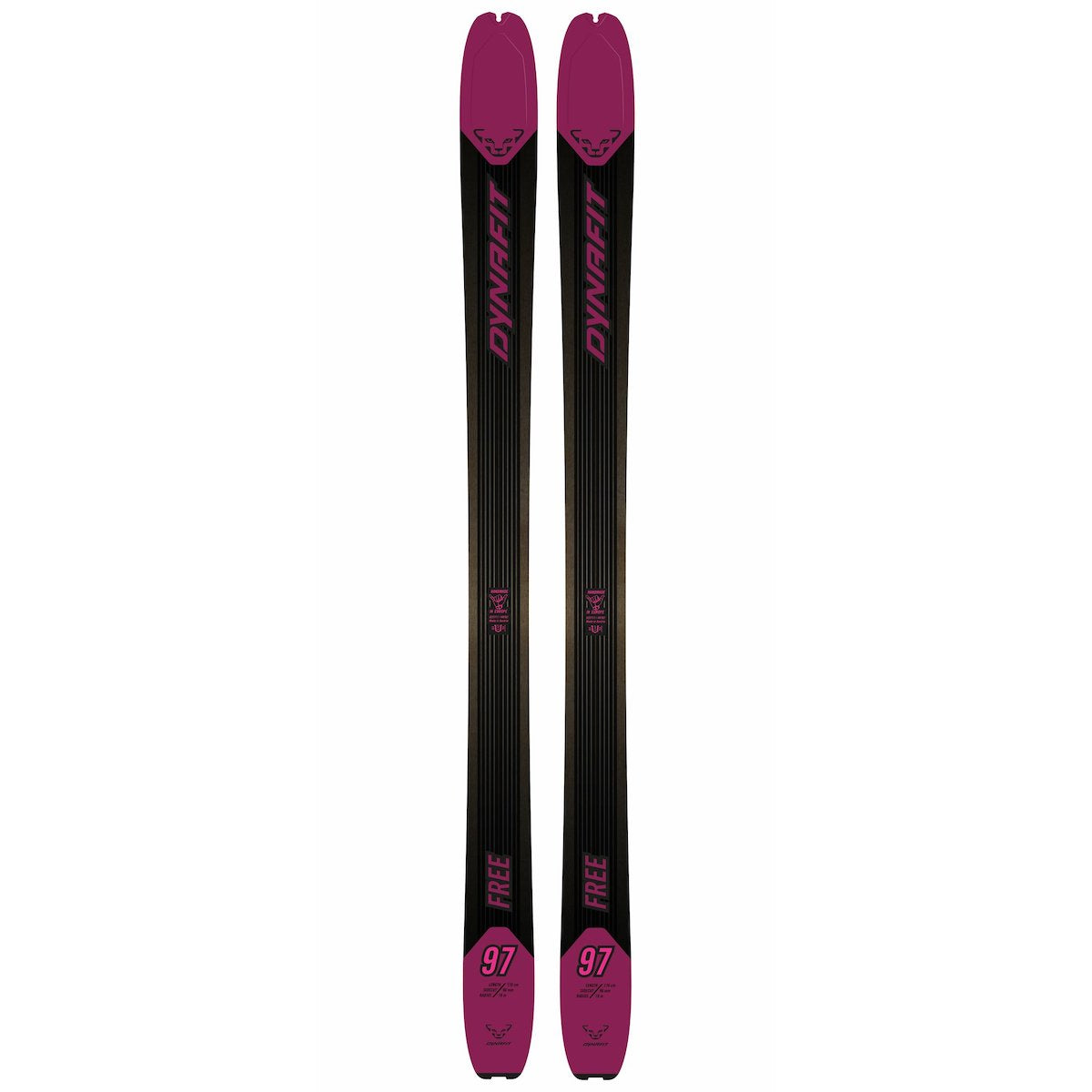 Dynafit Free 97 Ski - Women's 1