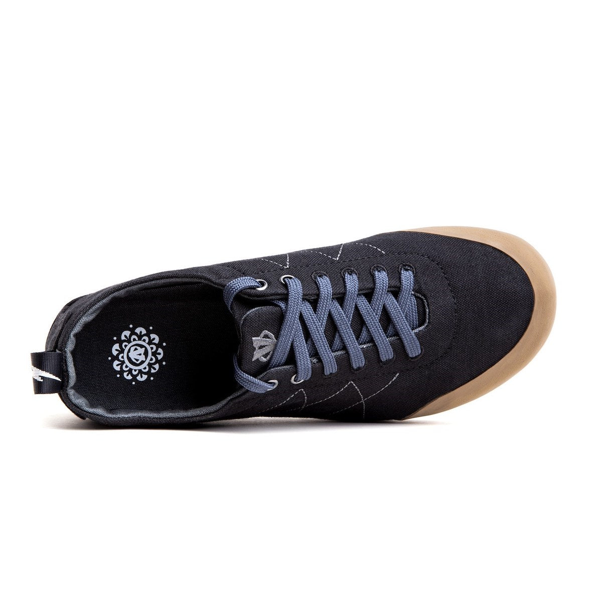 Evolv W's Cruzer Psyche 2021 2