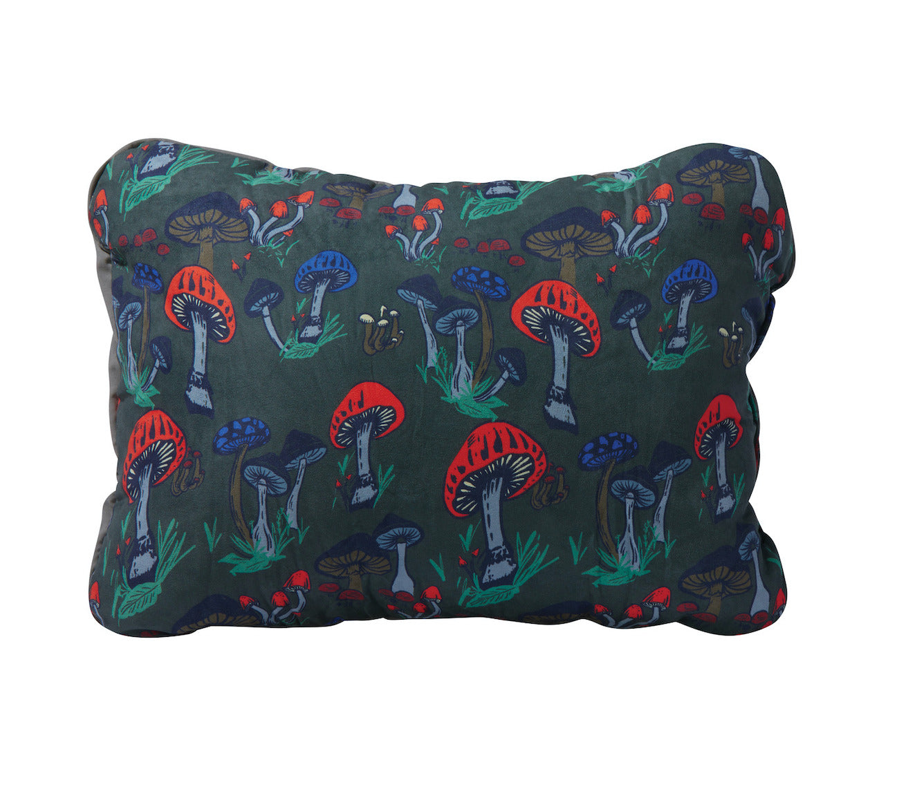 Therm-a-rest Comppillowcinch 2
