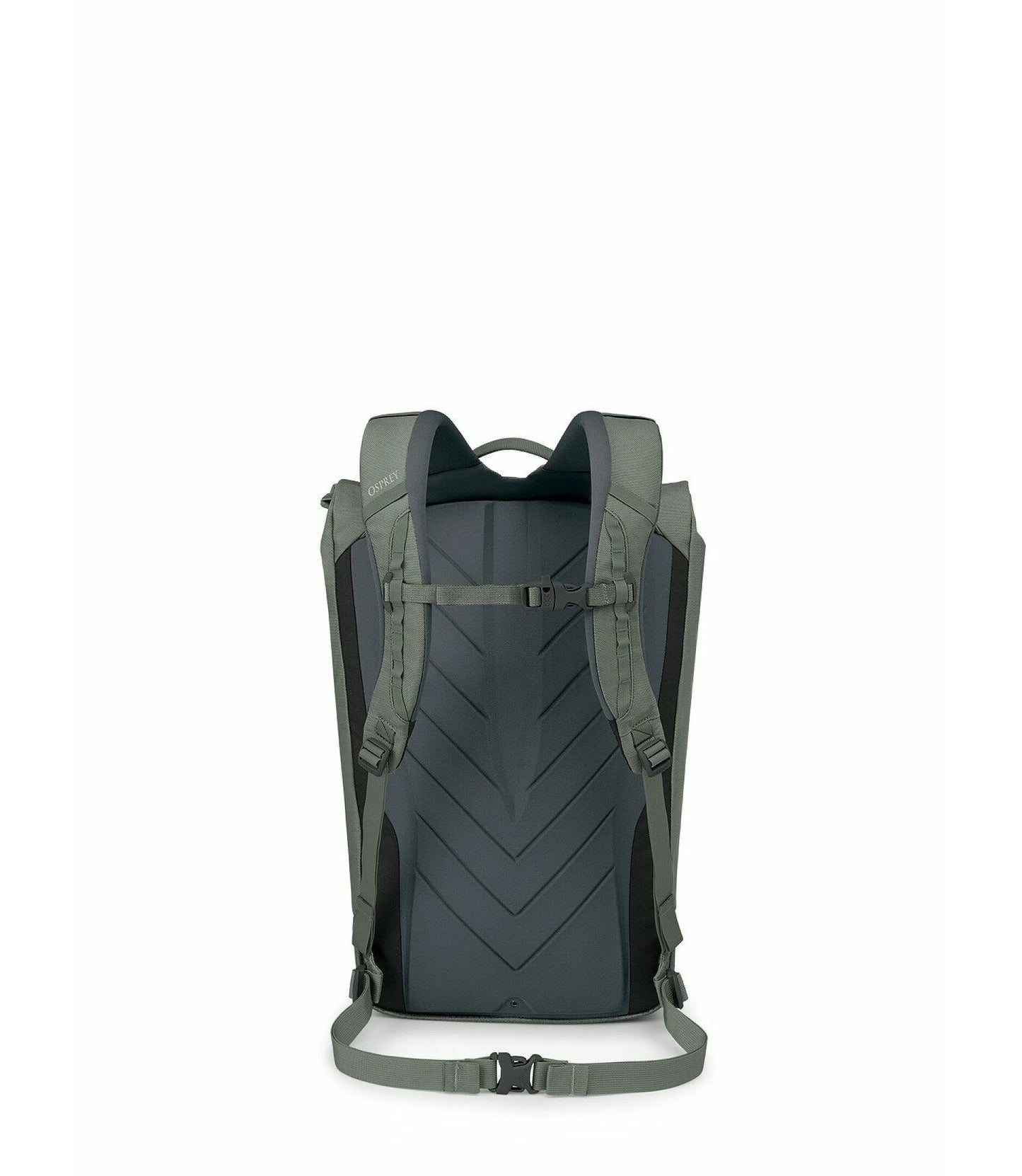 Zealot 30 Pack