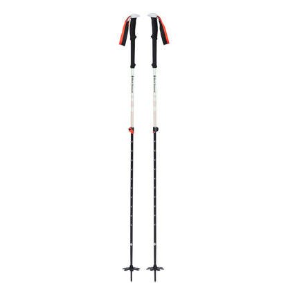 Expedition 2 Ski Poles