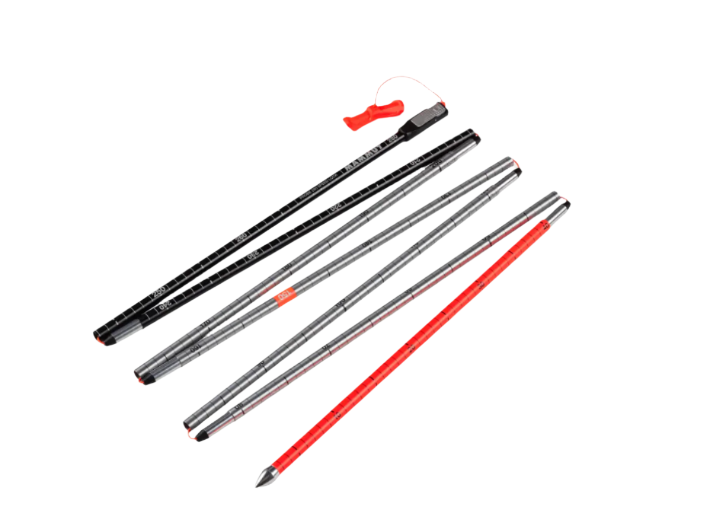 Mammut Barryvox Package Pro Light 4