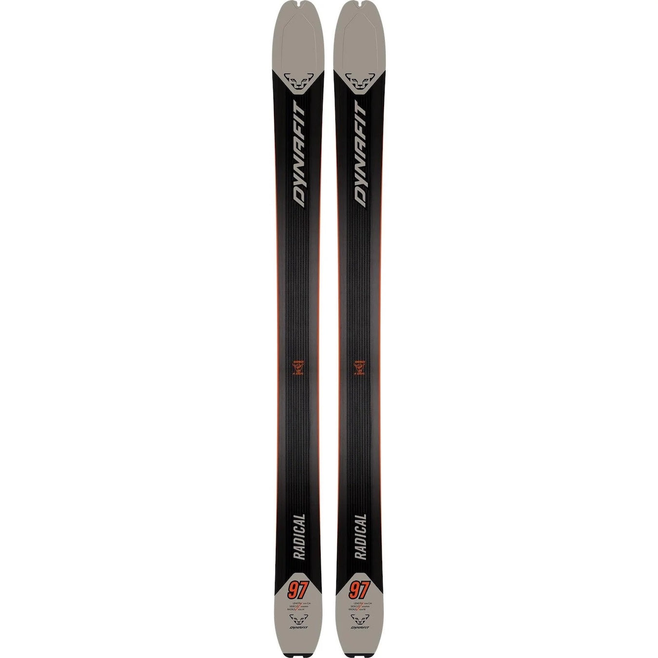 Dynafit Radical 97 Ski 1