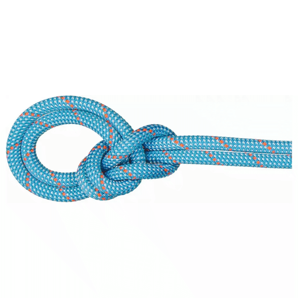 Mammut 9.8 Crag Classic Rope 2