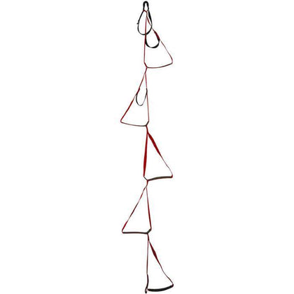 Metolius 5-step Aider 4