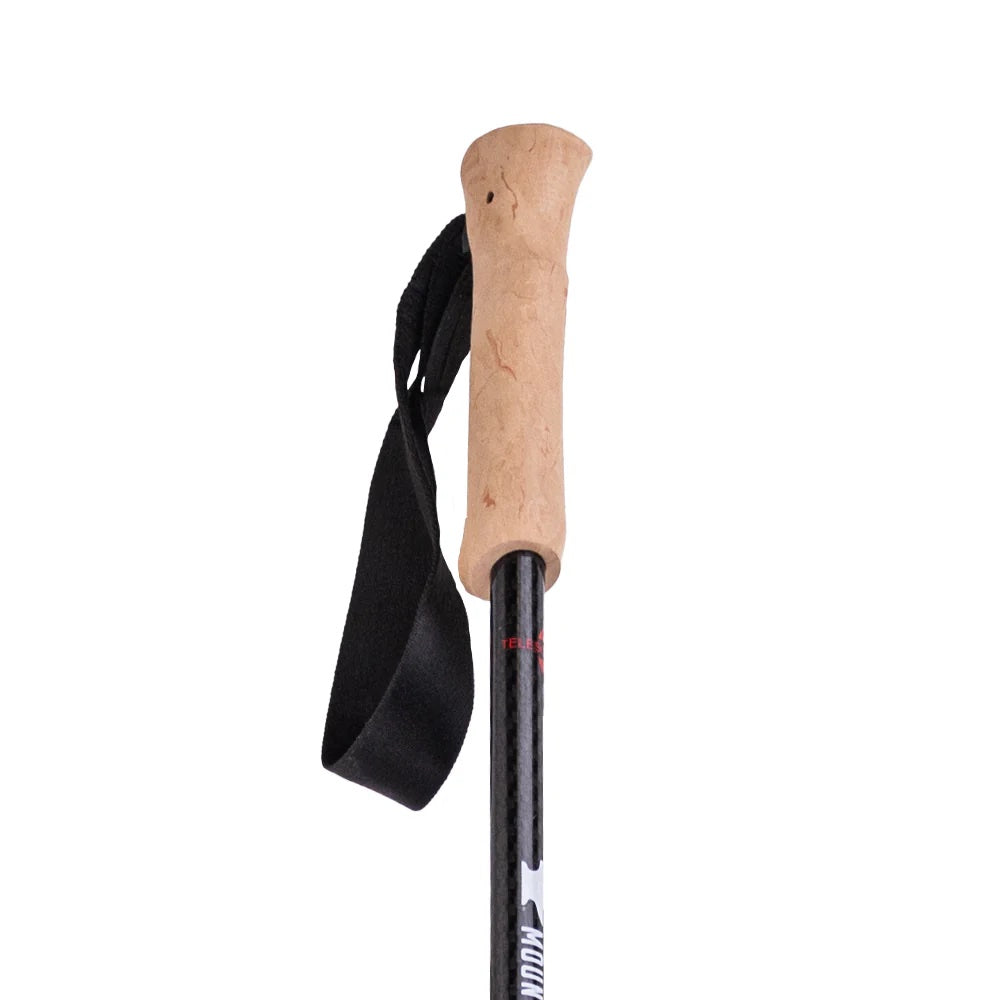 Mountainsmith Andesite Trekking Poles 2