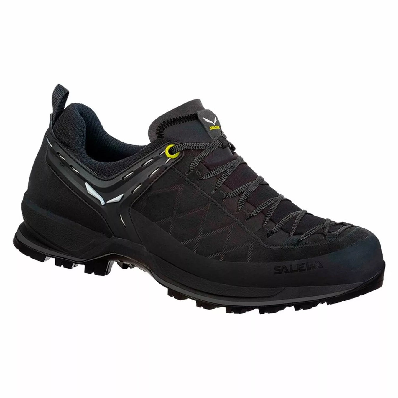 Salewa M's Mtn Trainer 2 1
