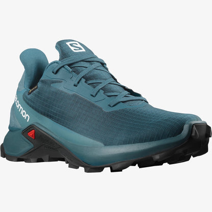 Salomon Alphacorss 3 Gtx 2022 6