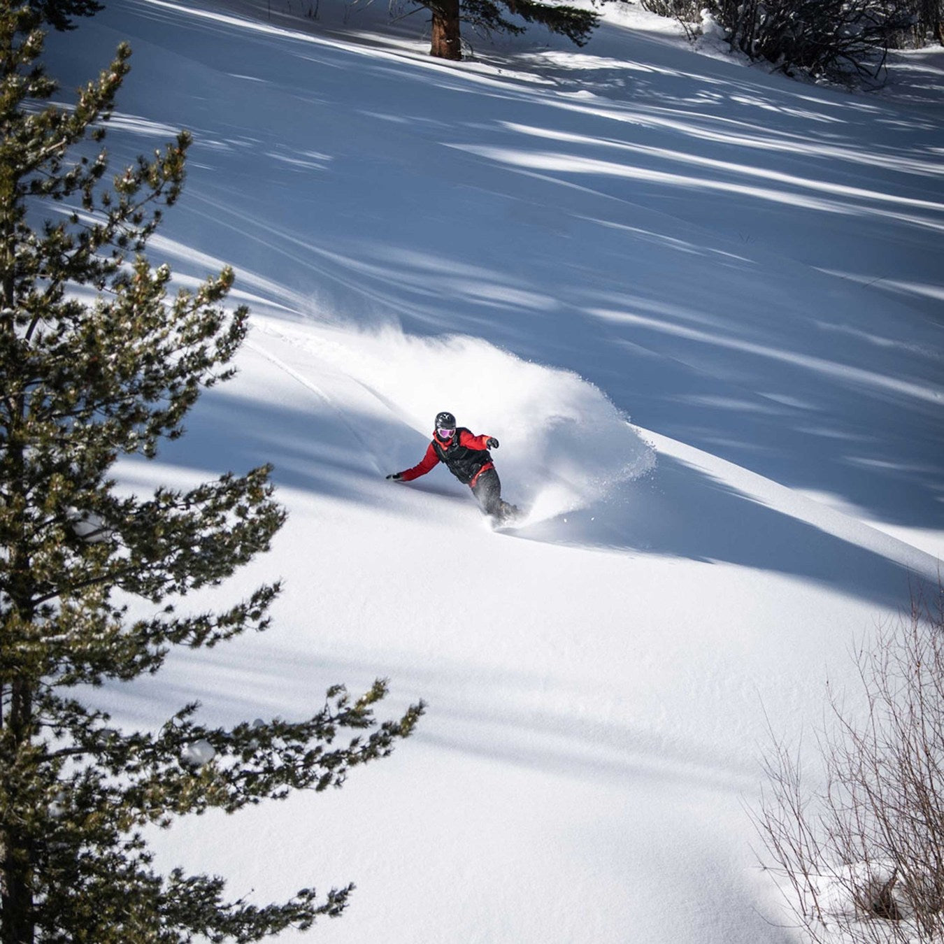 Weston Backwoods Splitboard 2022 5